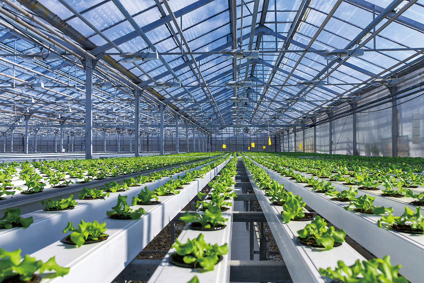 規模化科學養殖空調通風系統(圖4)